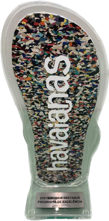 Distribuidor de Excelência 2021 (havaianas)