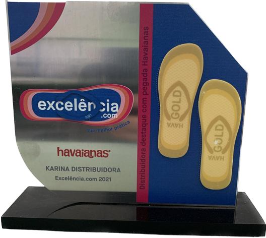 Distribuidor de Excelência 2021 (havaianas)